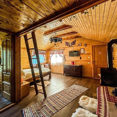 Chalets Du Bf Sighişoara Esterno foto