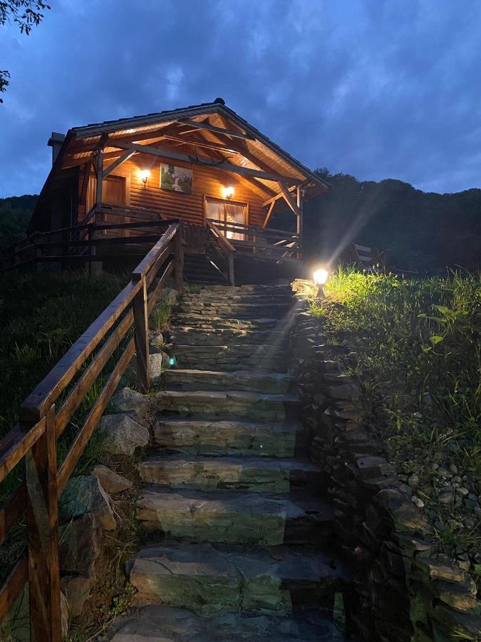 Chalets Du Bf Sighişoara Esterno foto
