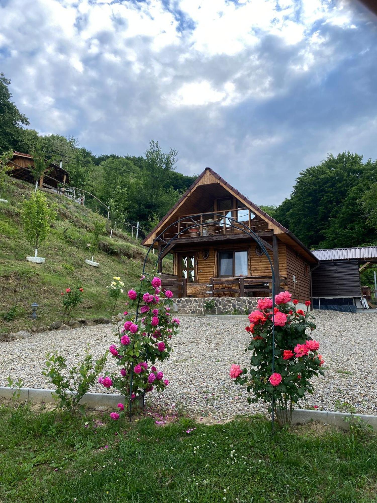 Chalets Du Bf Sighişoara Esterno foto